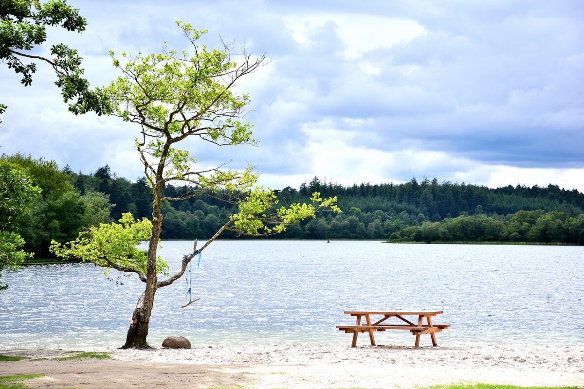 Skal feriedagen føre til søen eller poolen? Vælg campingplads nær Silkeborg med pool